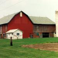 FARMS, BARNS & ART 